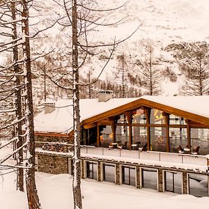 Les Neiges D'Antan